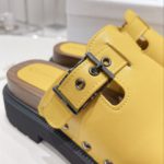 Christian Dior Women's Diorquake Clog Yellow For Women CD