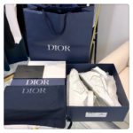 Christian Dior B27 High-Top Sneaker White/Grey For Men CD
