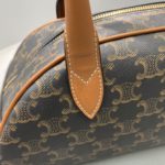 Celine Medium Teckel In Triomphe Canvas Brown For Women 12in/31cm 