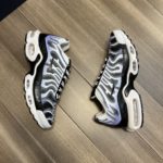 Christian Dior x Nike Sneaker Multicolor For Men CD