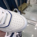 Christian Dior B27 Low-Top Sneaker White/Blue For Men CD