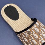 Christian Dior Slide Beige For Men CD