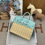 Hermes Birkin 25 Picnic Beige, Silver Toned Hardware Bag For Women, Women's Handbags, Shoulder Bags 9.8in/25cm