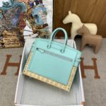 Hermes Birkin 25 Picnic Beige, Silver Toned Hardware Bag For Women, Women's Handbags, Shoulder Bags 9.8in/25cm