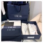 Christian Dior B27 Low-Top Sneaker White/Grey For Men CD