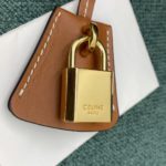 Celine Large Voyage Bag In Triomphe Canvas With Dog Print Tan For Women 20in/50cm 