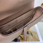 Christian Dior Saddle Bag With Strap Gold Toned Hardware For Women 25.5cm/10in CD M0455CBAA_M50P