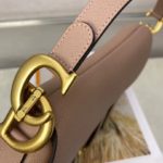 Christian Dior Saddle Bag With Strap Gold Toned Hardware For Women 25.5cm/10in CD M0455CBAA_M50P