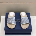 Christian Dior Slide Beige/Grey For Men CD