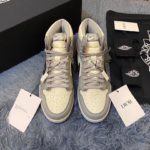 Nike Dior x Air Jordan 1 High OG Wolf Grey/Sail/Photon Dust/White For Men, Men's Shoes