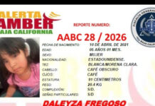 Alerta Amber BC Daleya Fregoso de 5 años de edad