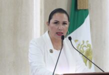 Exhorta diputada Araceli Geraldo a impulsar uso de energía solar en edificios públicos y escuelas