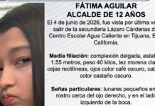 Pesquisa de Fátima Aguilar Alcalde de 12 años