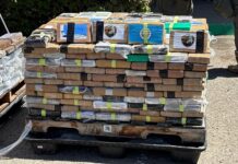 Decomisan más de una tonelada de cocaína tras hallazgo de narcotúnel