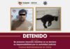 SSPCM arresta a sujeto por crueldad animal en Insurgentes