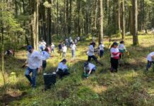 Convoca Nación Verde a empresas para restaurar ecosistemas