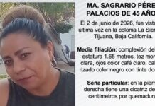 Pesquisa de Ma. Sagrario Pérez Palacios de 45 años