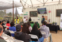 Promueve Nación Verde huertos urbanos con taller comunitario