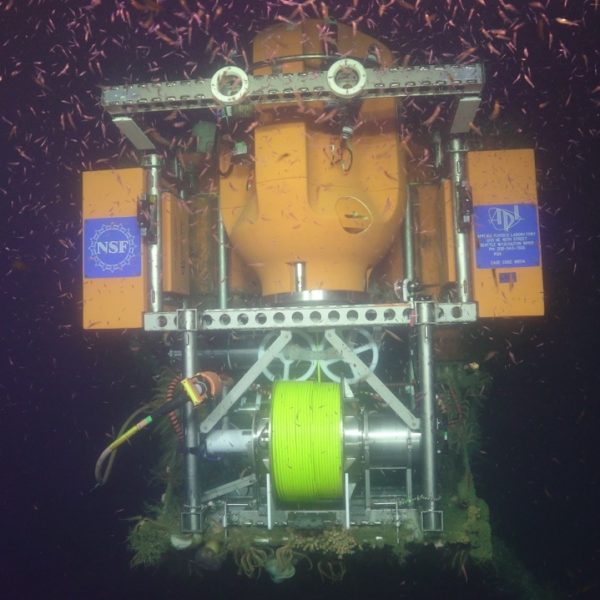 Krill swarm around the OR Offshore profiler Krill swarm around the OR Offshore profiler