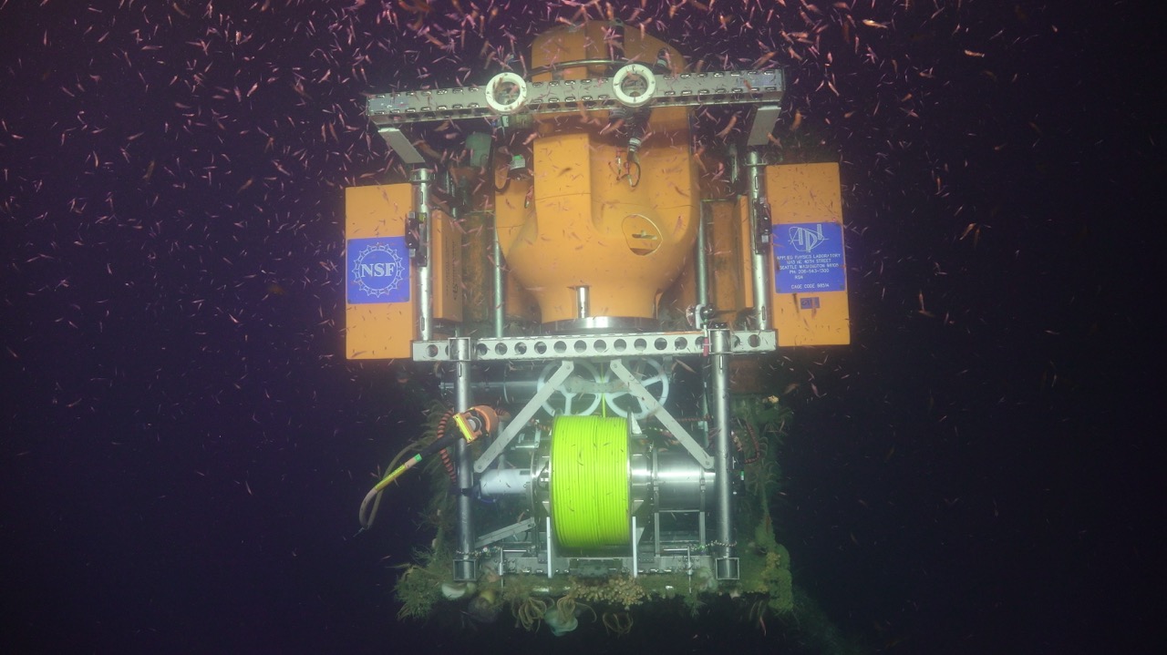 Krill swarm around the OR Offshore profiler Krill swarm around the OR Offshore profiler