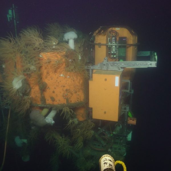 Unplugging the OR Offshore Shallow Profiler Unplugging the OR Offshore Shallow Profiler