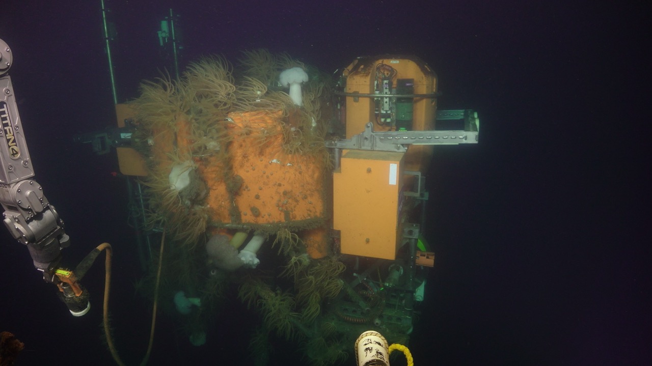Unplugging the OR Offshore Shallow Profiler Unplugging the OR Offshore Shallow Profiler