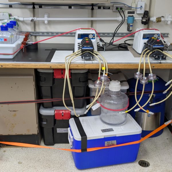 Metabolic Lab Metabolic Lab