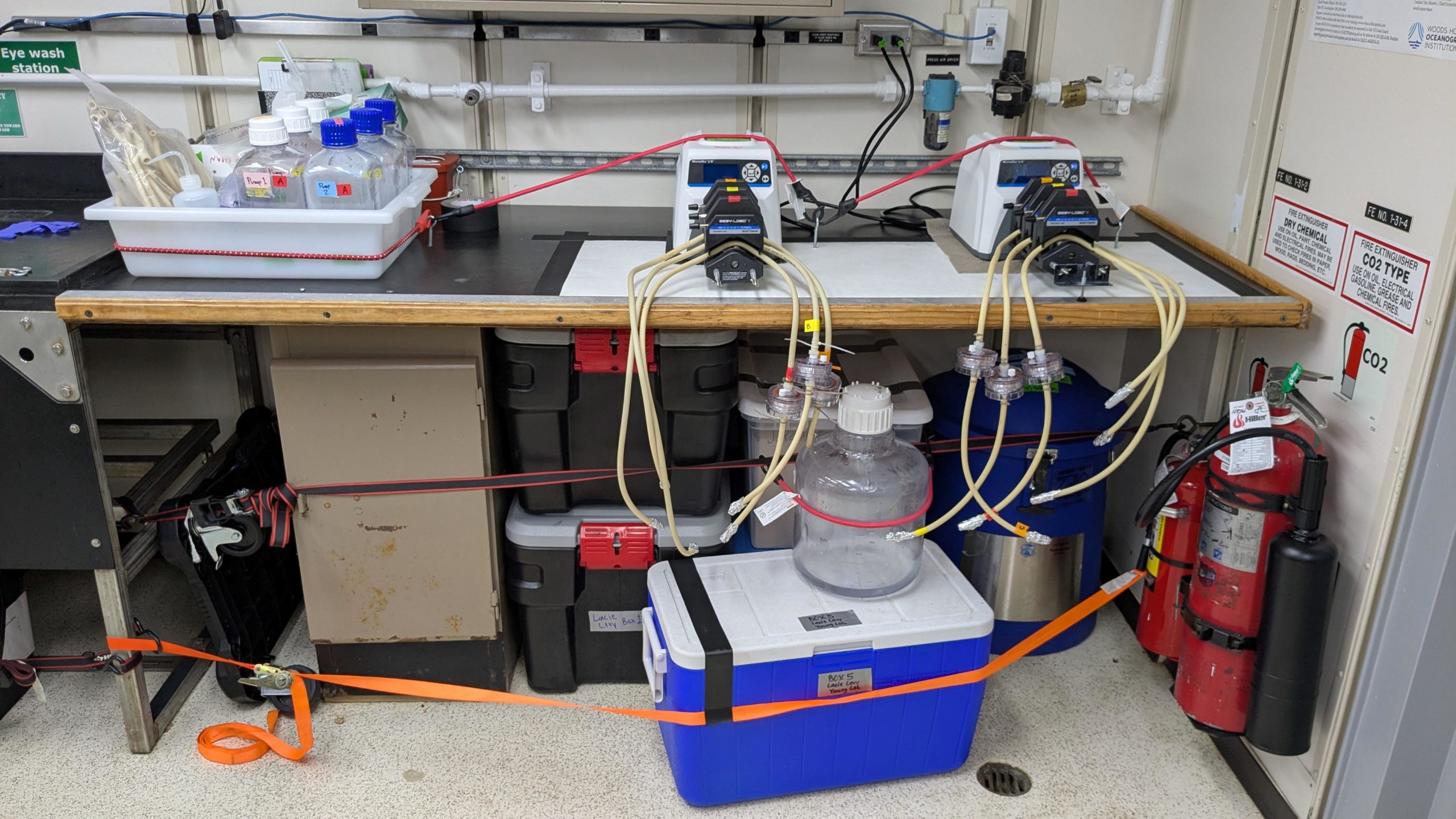 Metabolic Lab Metabolic Lab
