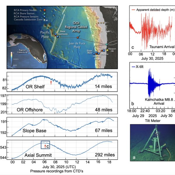 Axial Seamount Rattled by Kamchatka M8.8 Axial Seamount Rattled by Kamchatka M8.8
