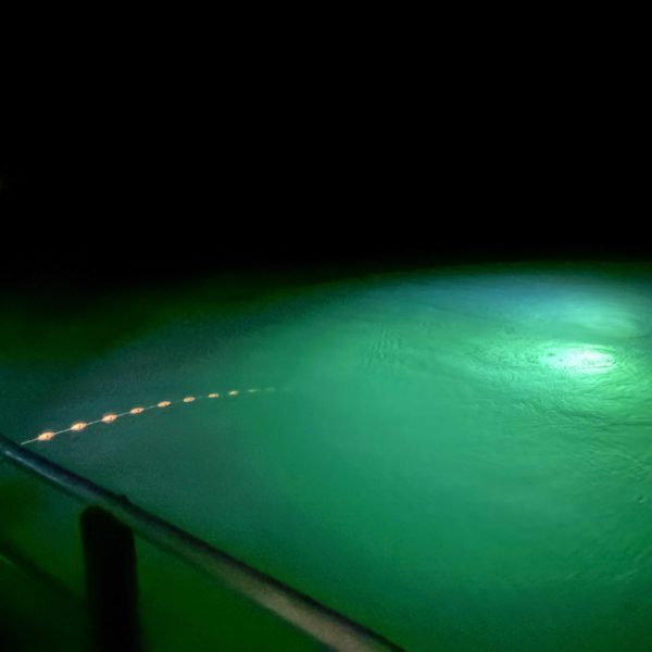 Jason ascending in the night