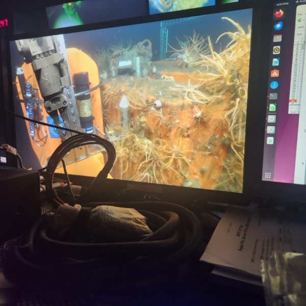 Control van view of the shallow profiler mooring