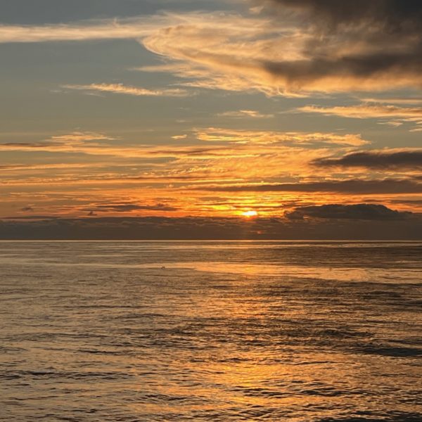 Beautiful Sunset First Day