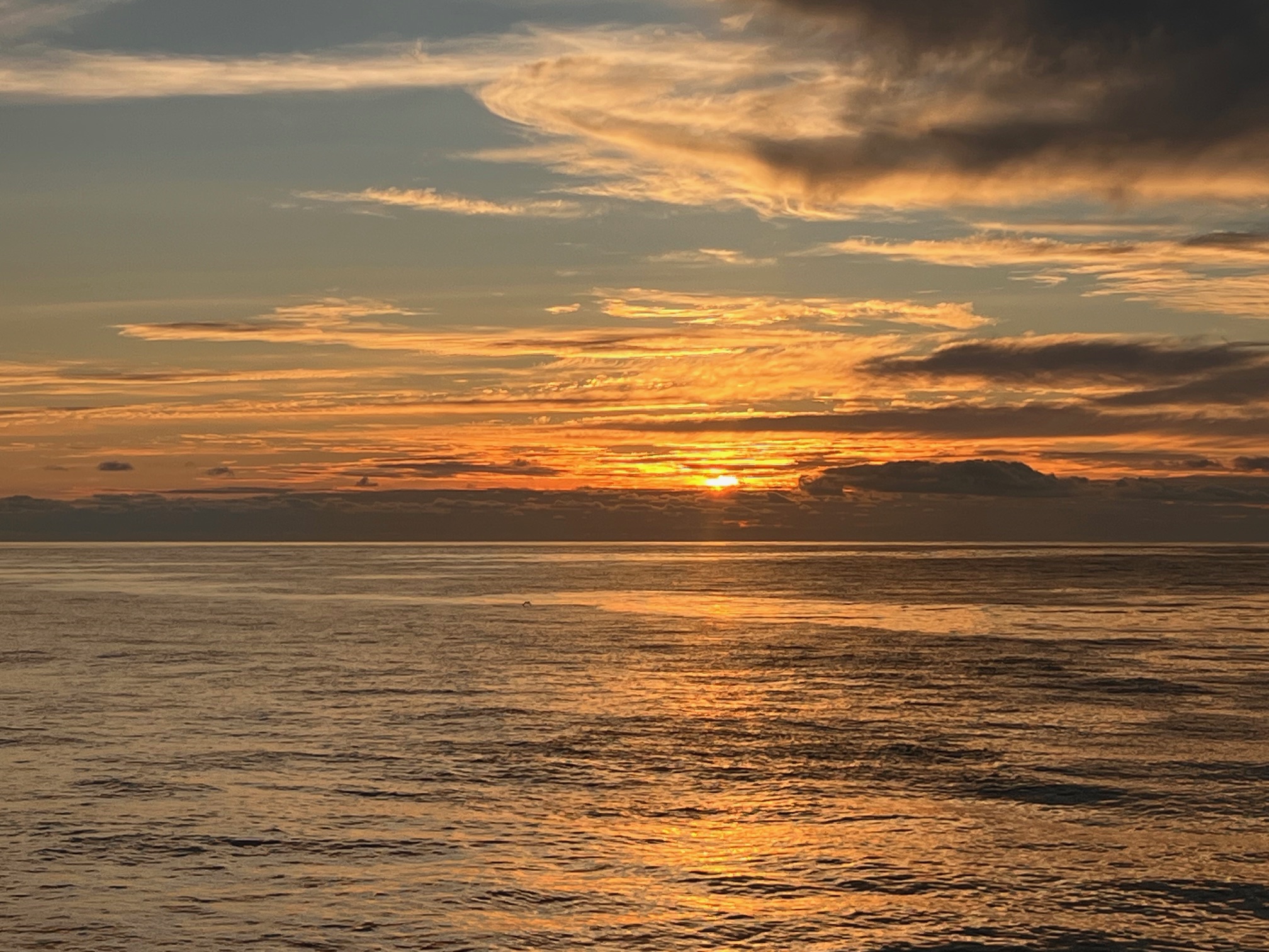 Beautiful Sunset First Day