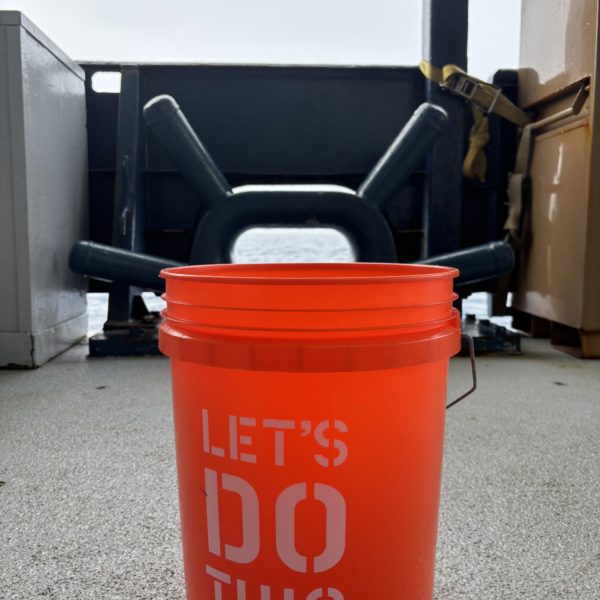 My New Bucket Friend My New Bucket Friend