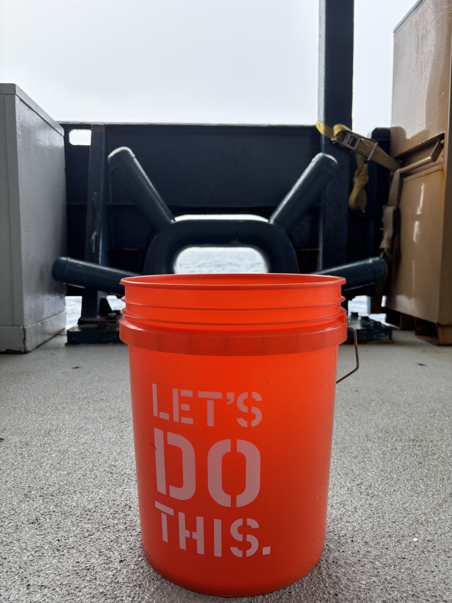 My New Bucket Friend My New Bucket Friend