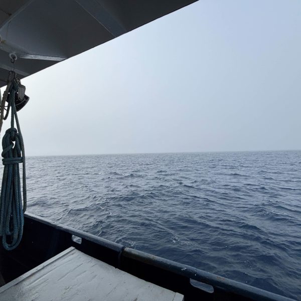 Open Sea Open Sea