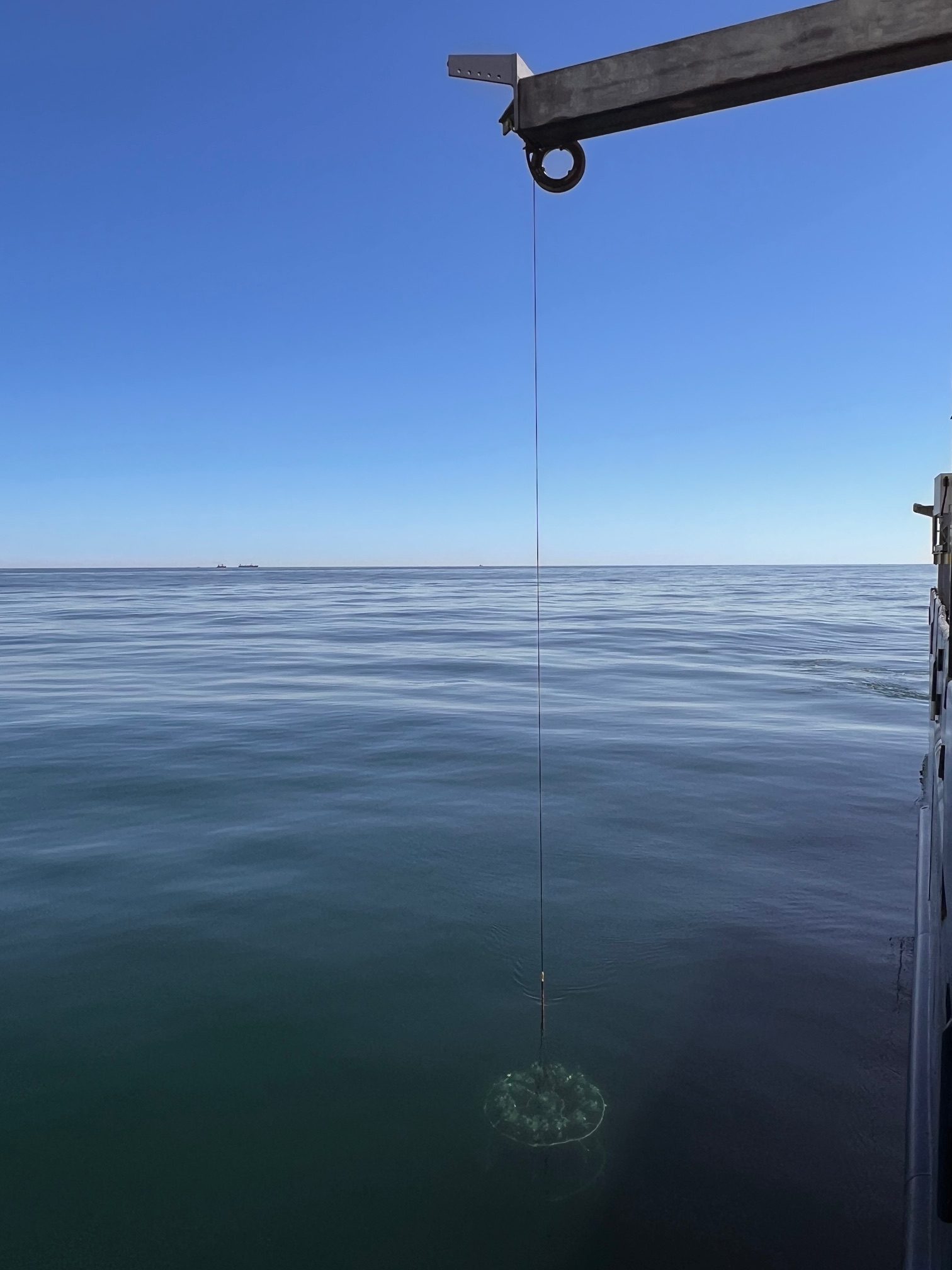 CTD Recovery Calm Seas