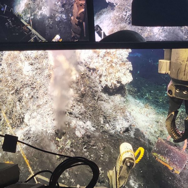 Hydrothermal Vent at Base of Mushroom