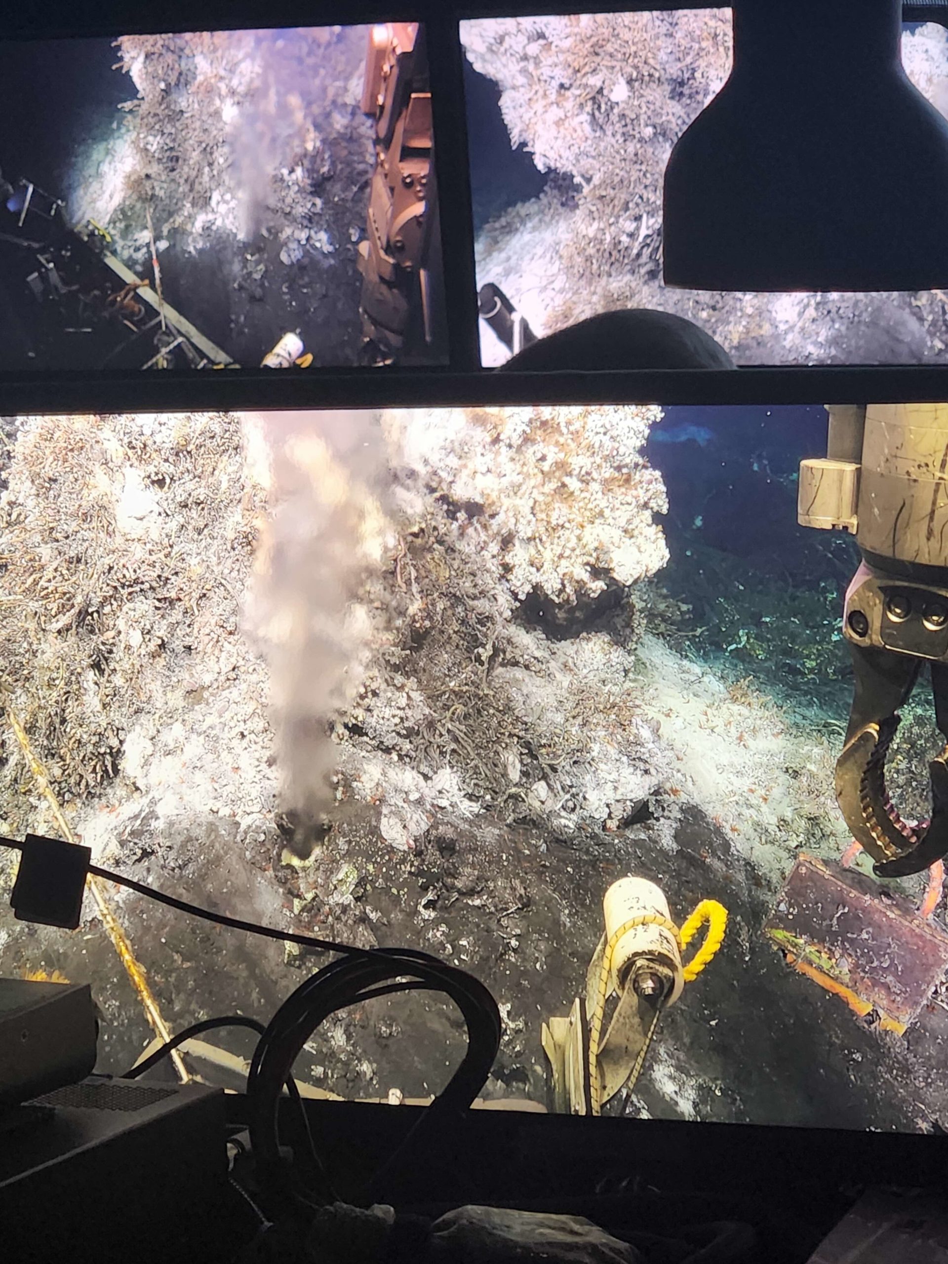 Hydrothermal Vent at Base of Mushroom