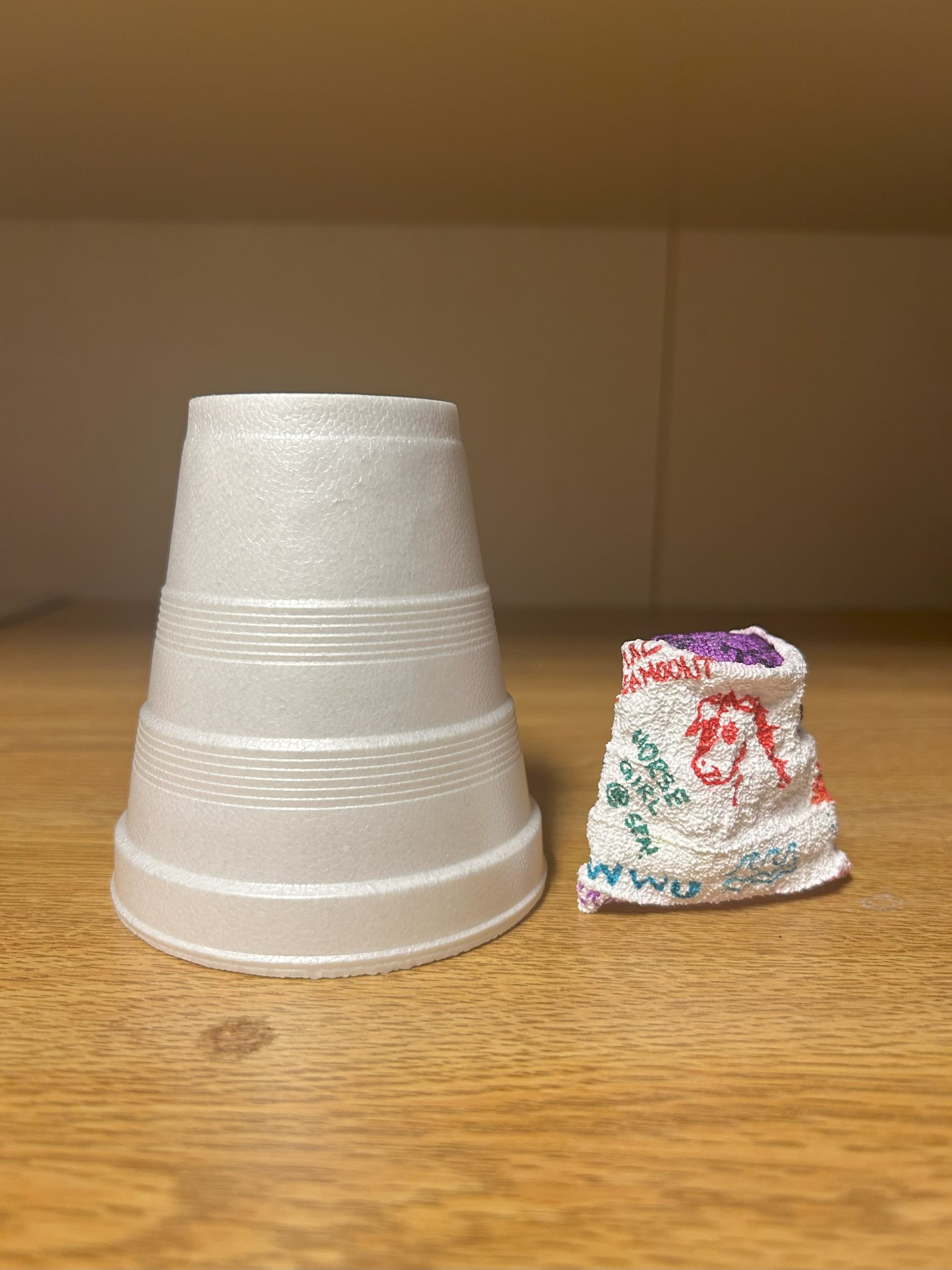 Size comparison styrofoam cup