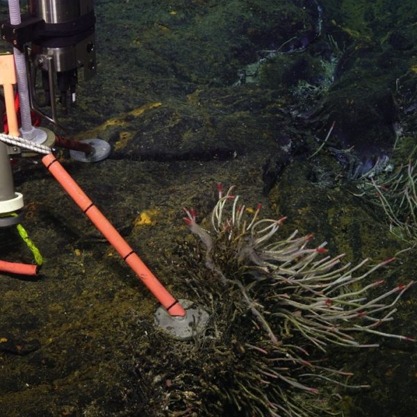 CTD tripod and tube worms at ASHES