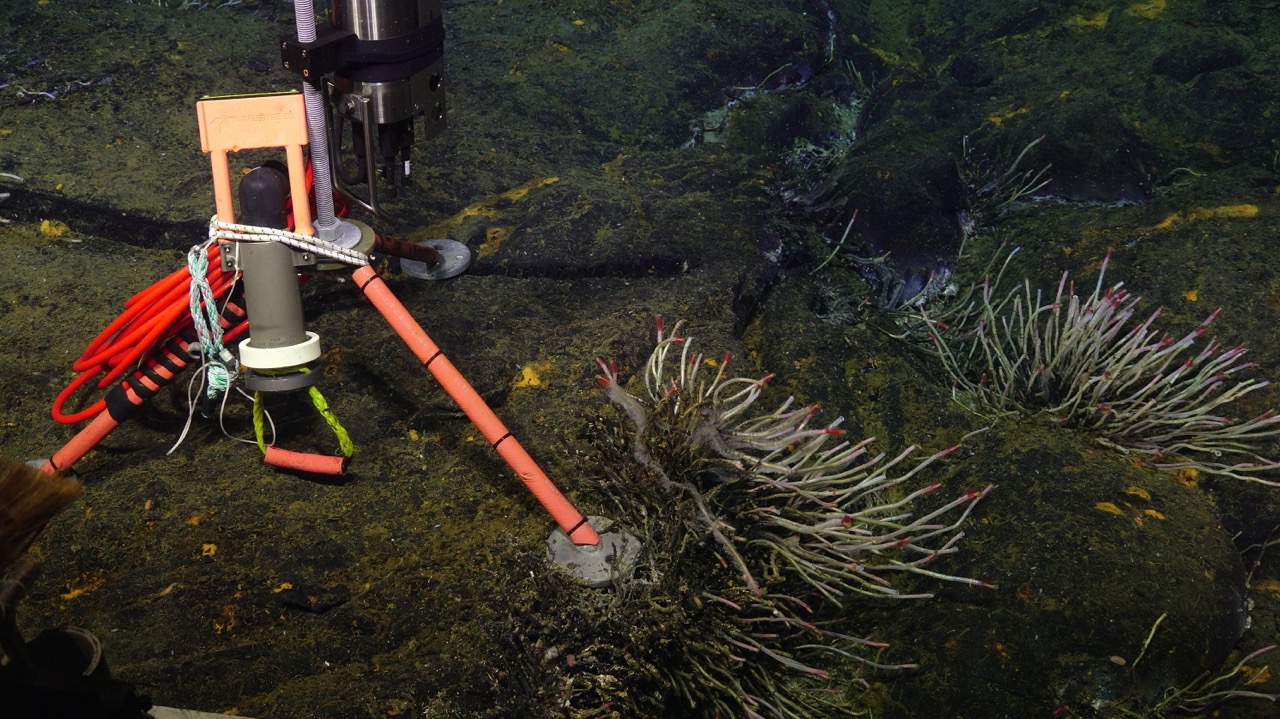 CTD tripod and tube worms at ASHES