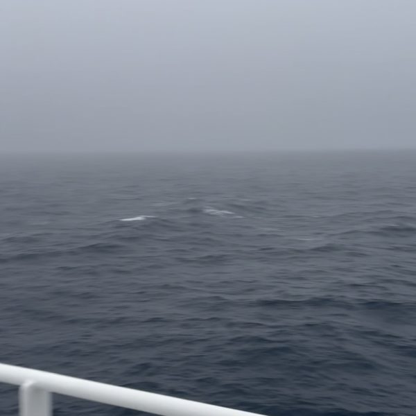 A Foggy Sea