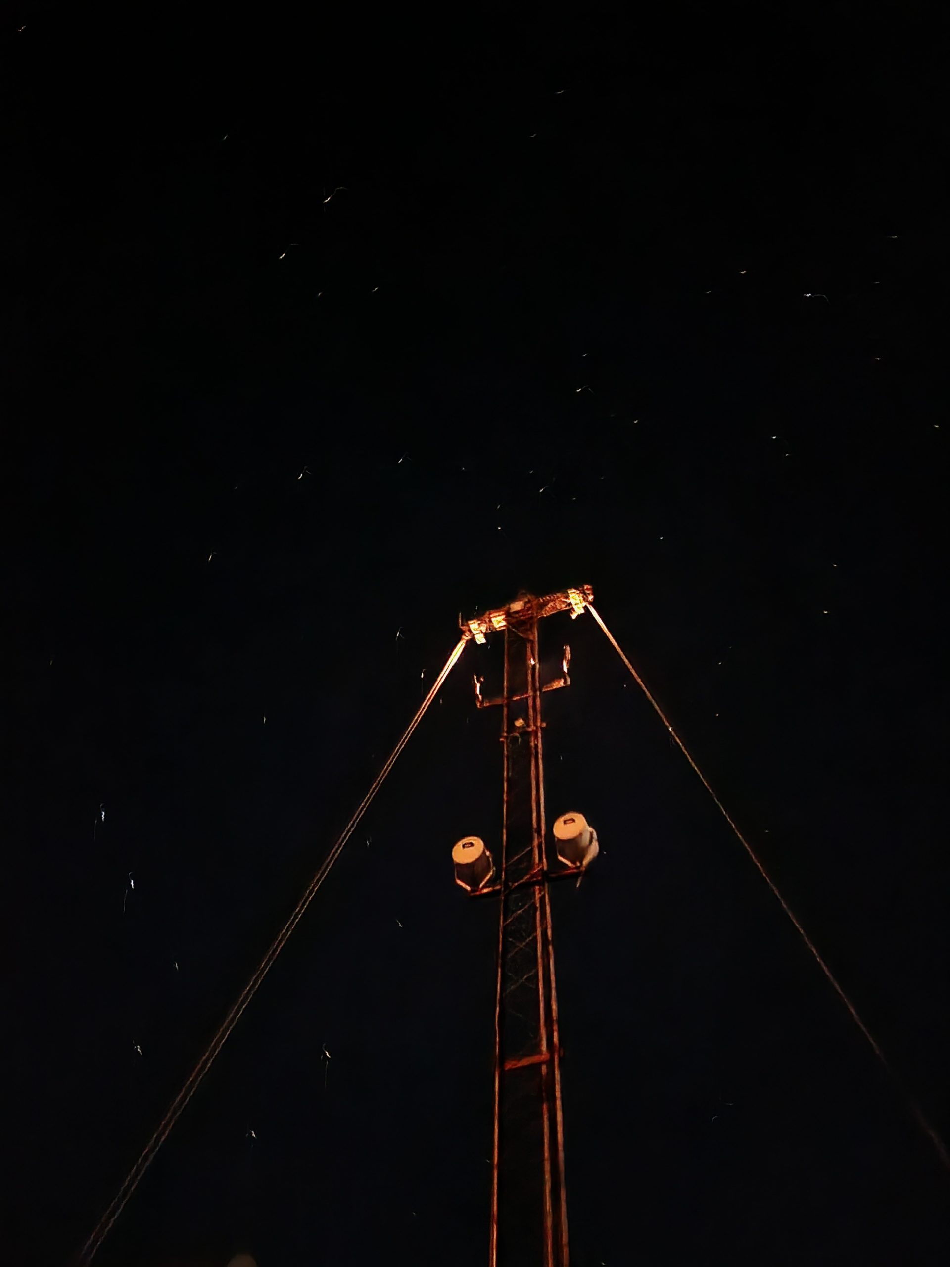stars