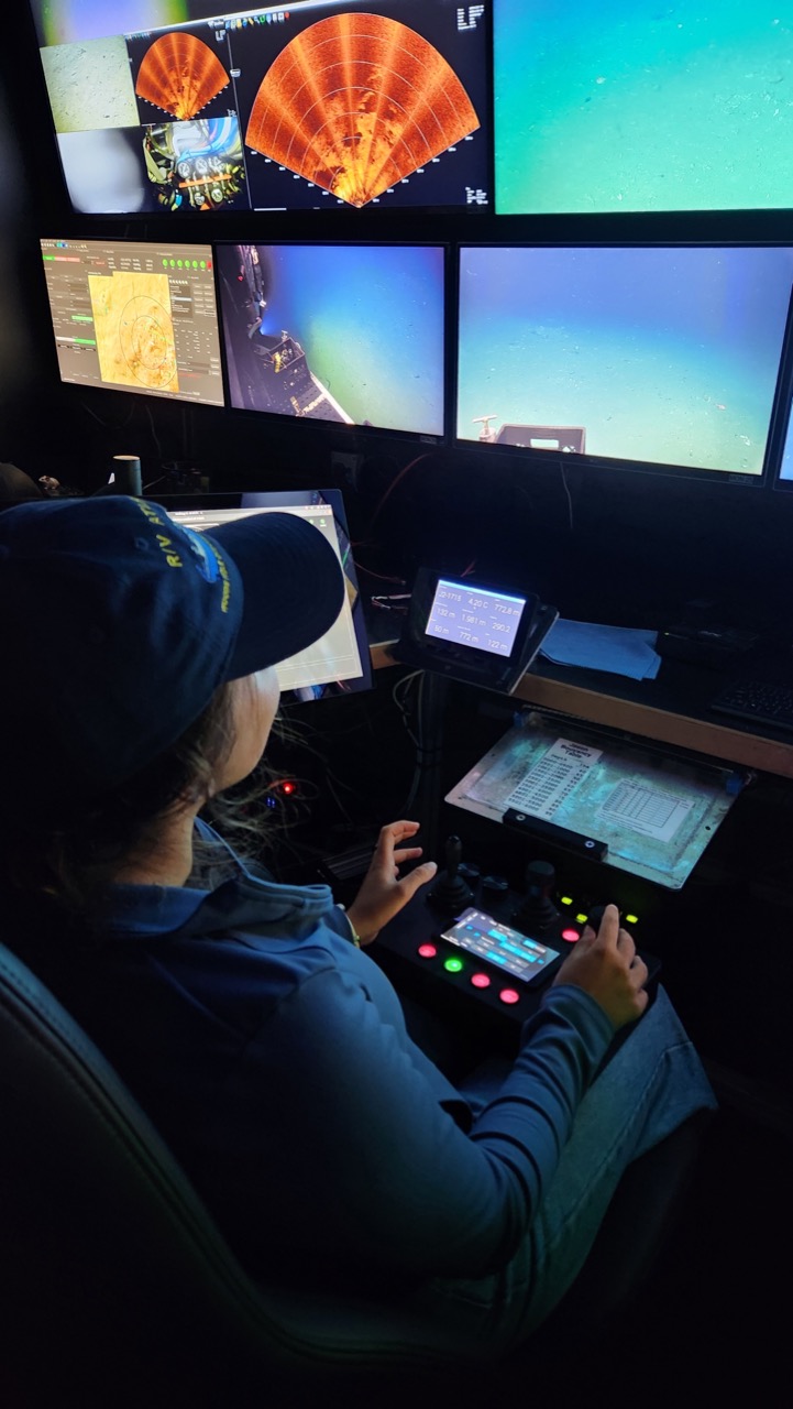 Piloting Jason (back view)