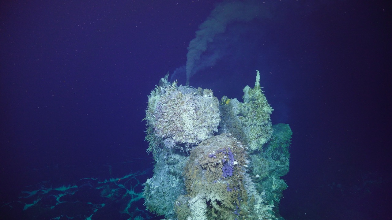 Approaching a vent at Axial
