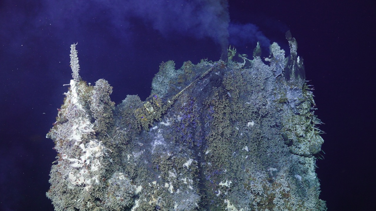 Temp probe in the top of the vent