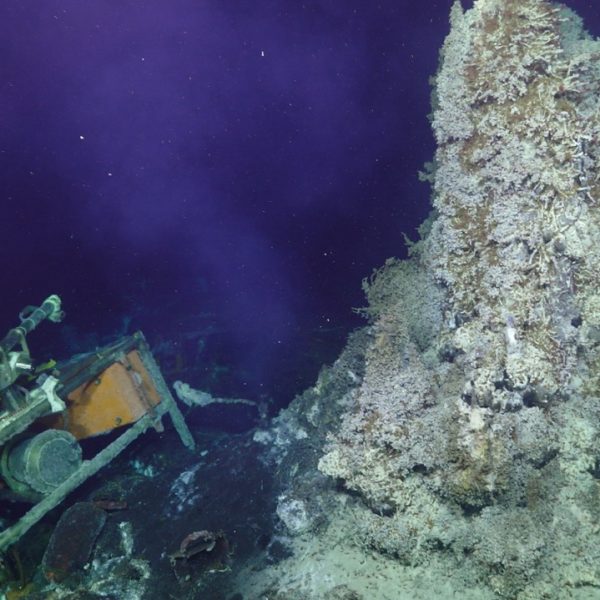 2024 CAMHD and Mushroom vent