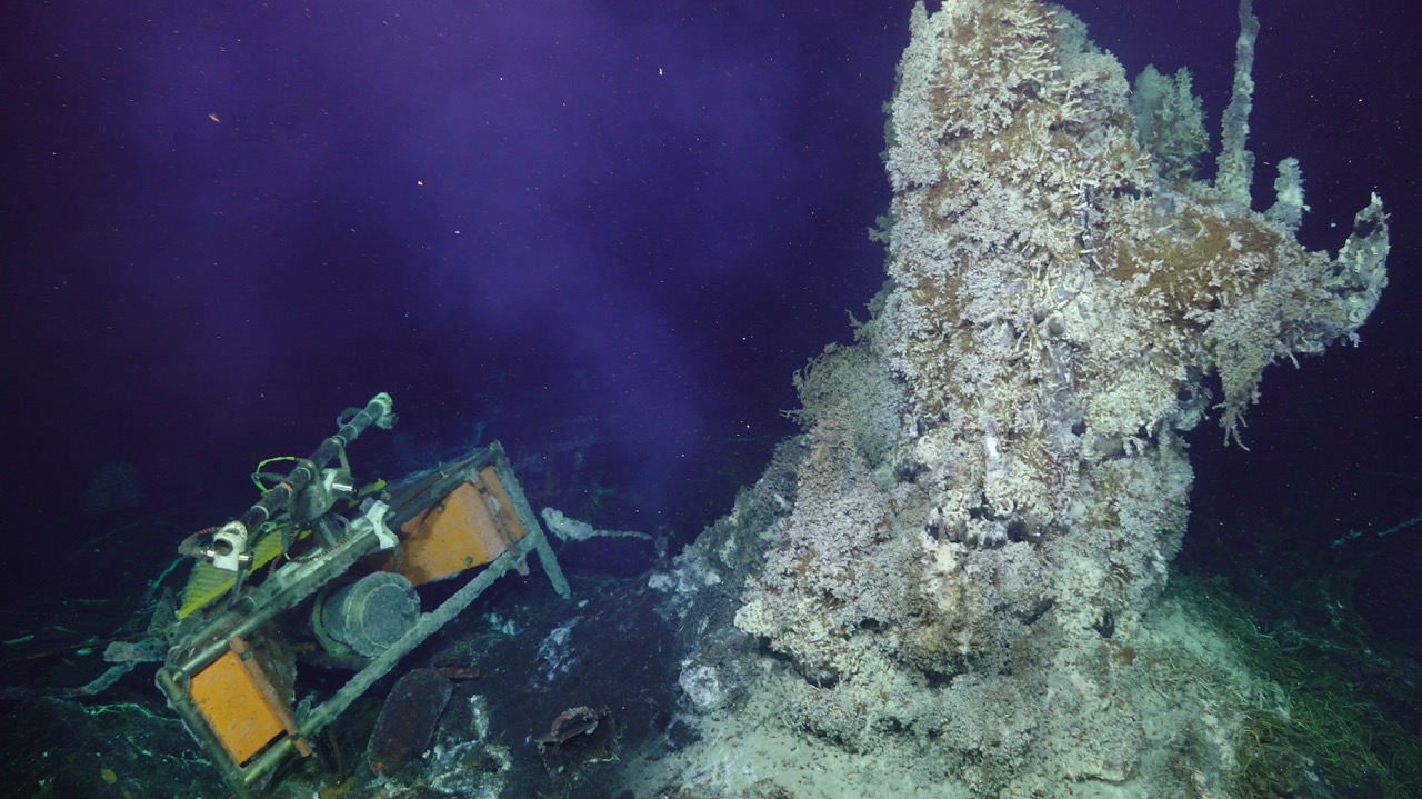 2024 CAMHD and Mushroom vent
