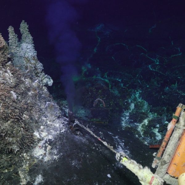 CAMHD and temp probe at Mushroom